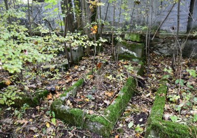 Brandov neudržovaná část, Omnium, 2020