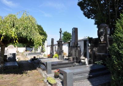 Bohušovice nad Ohří, Omnium, 2020