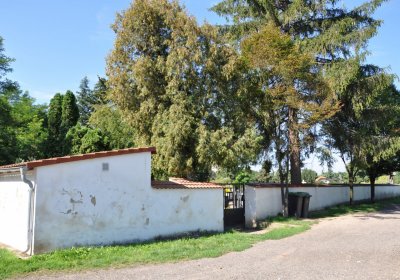 Bohušovice nad Ohří, Omnium, 2020