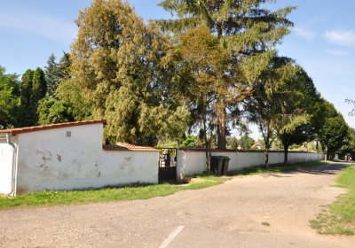 Bohušovice nad Ohří, Omnium, 2020