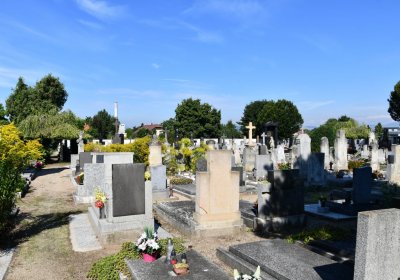 Bohušovice nad Ohří, Omnium, 2020