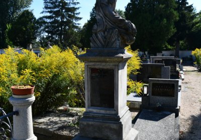 Bohušovice nad Ohří, Omnium, 2020