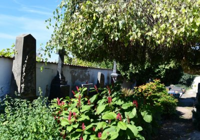 Bohušovice nad Ohří, Omnium, 2020