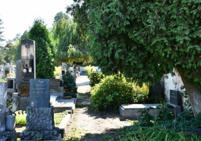 Bohušovice nad Ohří, Omnium, 2020