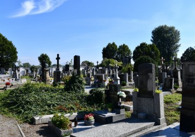 Bohušovice nad Ohří, Omnium, 2020