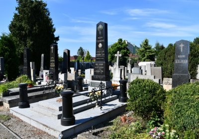 Bohušovice nad Ohří, Omnium, 2020