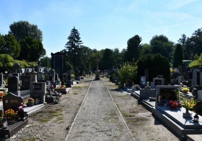 Bohušovice nad Ohří, Omnium, 2020