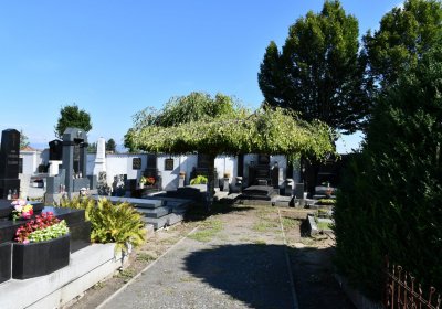 Bohušovice nad Ohří, Omnium, 2020