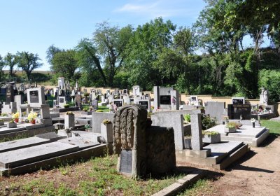 Brozany nad Ohří, Omnium, 2020