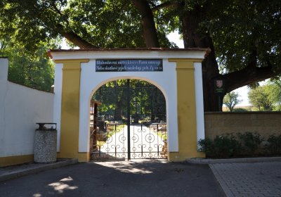 Brozany nad Ohří, Omnium, 2020