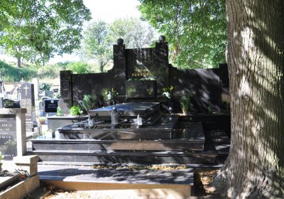 Brozany nad Ohří, Omnium, 2020