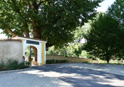 Brozany nad Ohří, Omnium, 2020