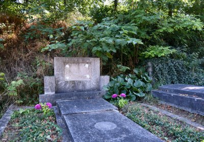 Brozany nad Ohří, Omnium, 2020