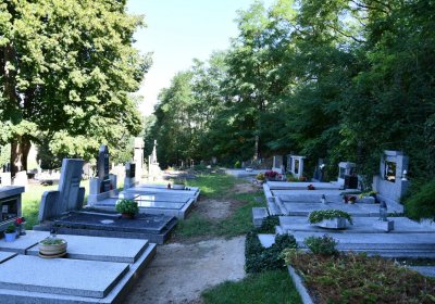 Brozany nad Ohří, Omnium, 2020