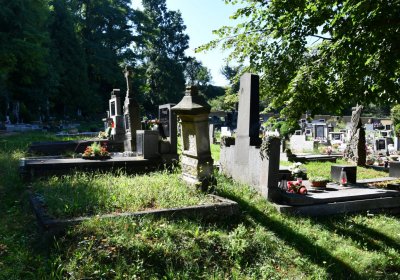 Brozany nad Ohří, Omnium, 2020