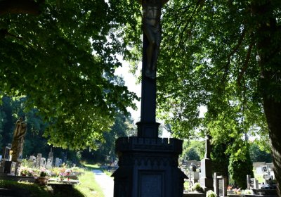 Brozany nad Ohří, Omnium, 2020