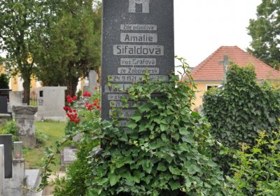 Budyně nad Ohří, Omnium, 2020