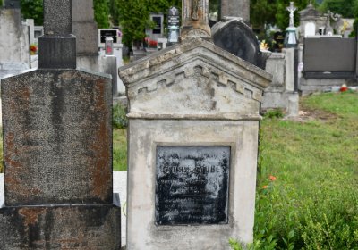 Budyně nad Ohří, Omnium, 2020