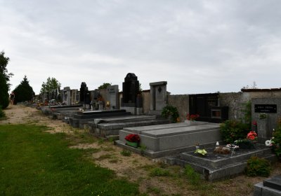 Budyně nad Ohří, Omnium, 2020