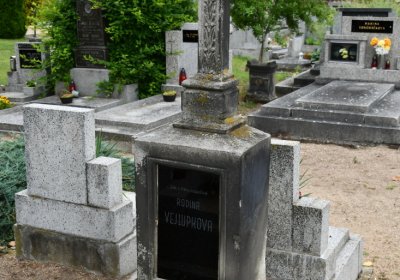 Budyně nad Ohří, Omnium, 2020