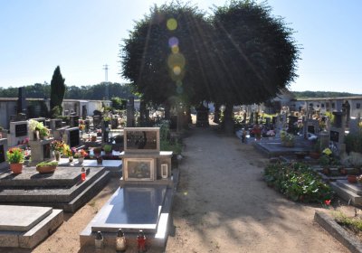 Černěves, Omnium, 2020