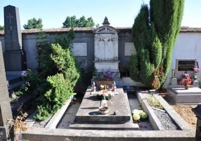 Černěves, Omnium, 2020