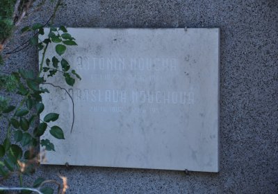 Černěves, Omnium, 2020