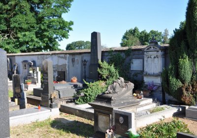 Černěves, Omnium, 2020