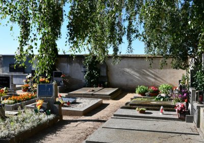 Černěves, Omnium, 2020