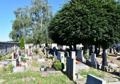 Černěves, Omnium, 2020