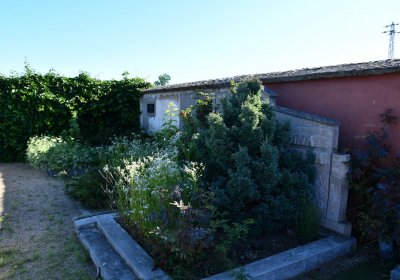 Černěves, Omnium, 2020