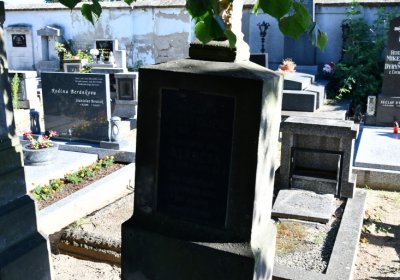 Černěves, Omnium, 2020