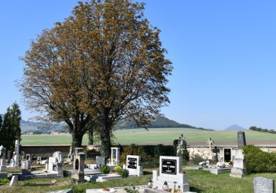 Dlažkovice, Omnium, 2020