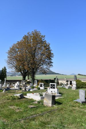 Dlažkovice