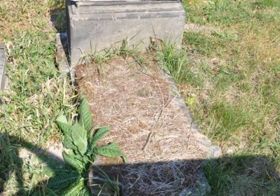 Dlažkovice, Omnium, 2020