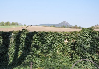 Dlažkovice, Omnium, 2020