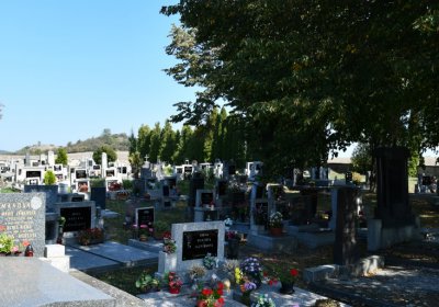 Dlažkovice, Omnium, 2020