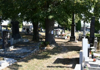 Dlažkovice, Omnium, 2020