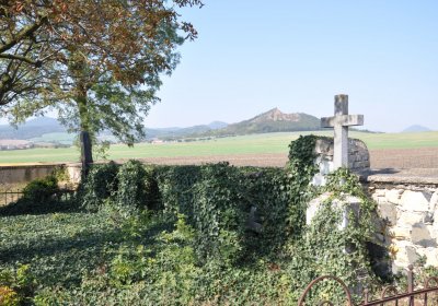 Dlažkovice, Omnium, 2020