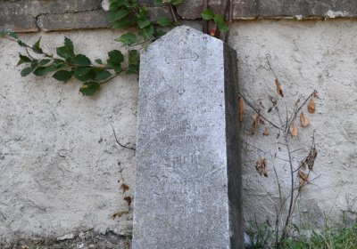 Dlažkovice, Omnium, 2020