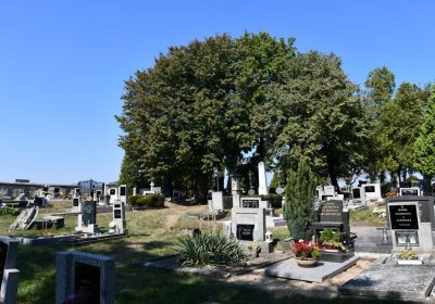 Dlažkovice, Omnium, 2020