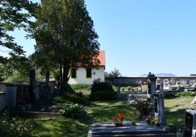 Dlažkovice, Omnium, 2020