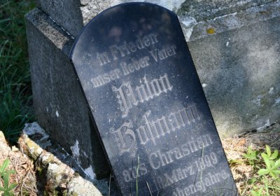 Dlažkovice, Omnium, 2020