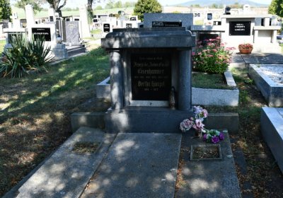 Dlažkovice, Omnium, 2020