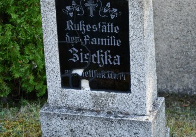 Dlažkovice, Omnium, 2020