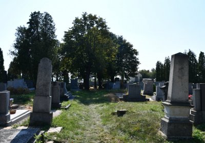 Dlažkovice, Omnium, 2020