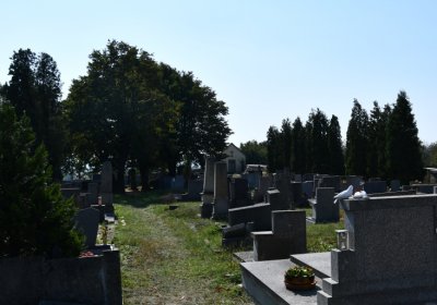 Dlažkovice, Omnium, 2020