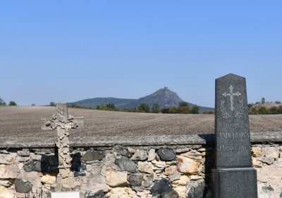 Dlažkovice, Omnium, 2020