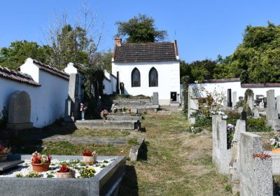 Třebívlice u kostela, Omnium, 2020