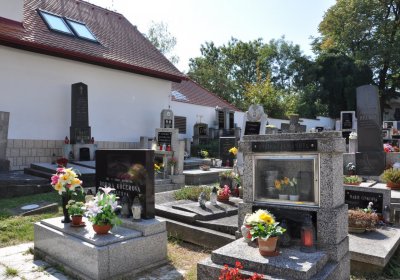 Třebívlice u kostela, Omnium, 2020